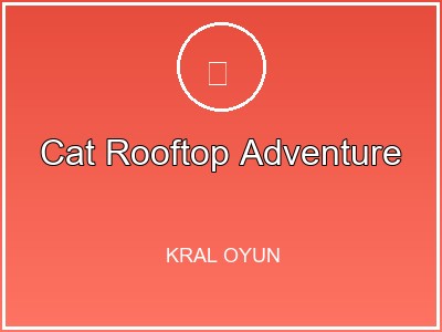 Cat Rooftop Adventure